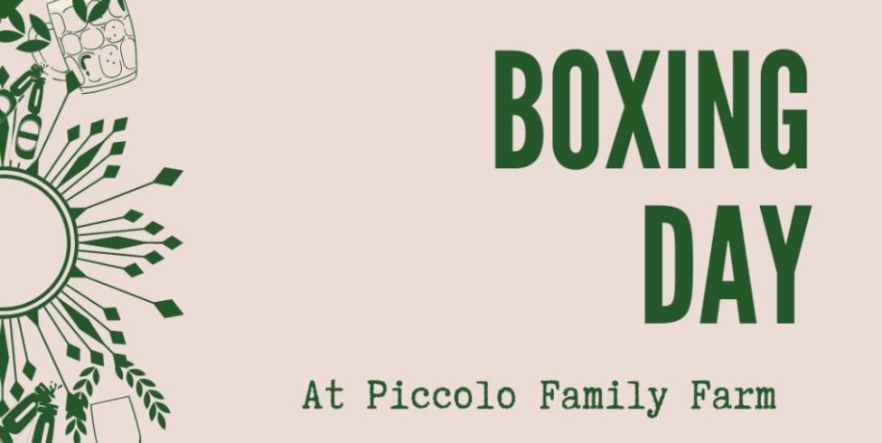 Boxing Day at Piccolo Family Farm