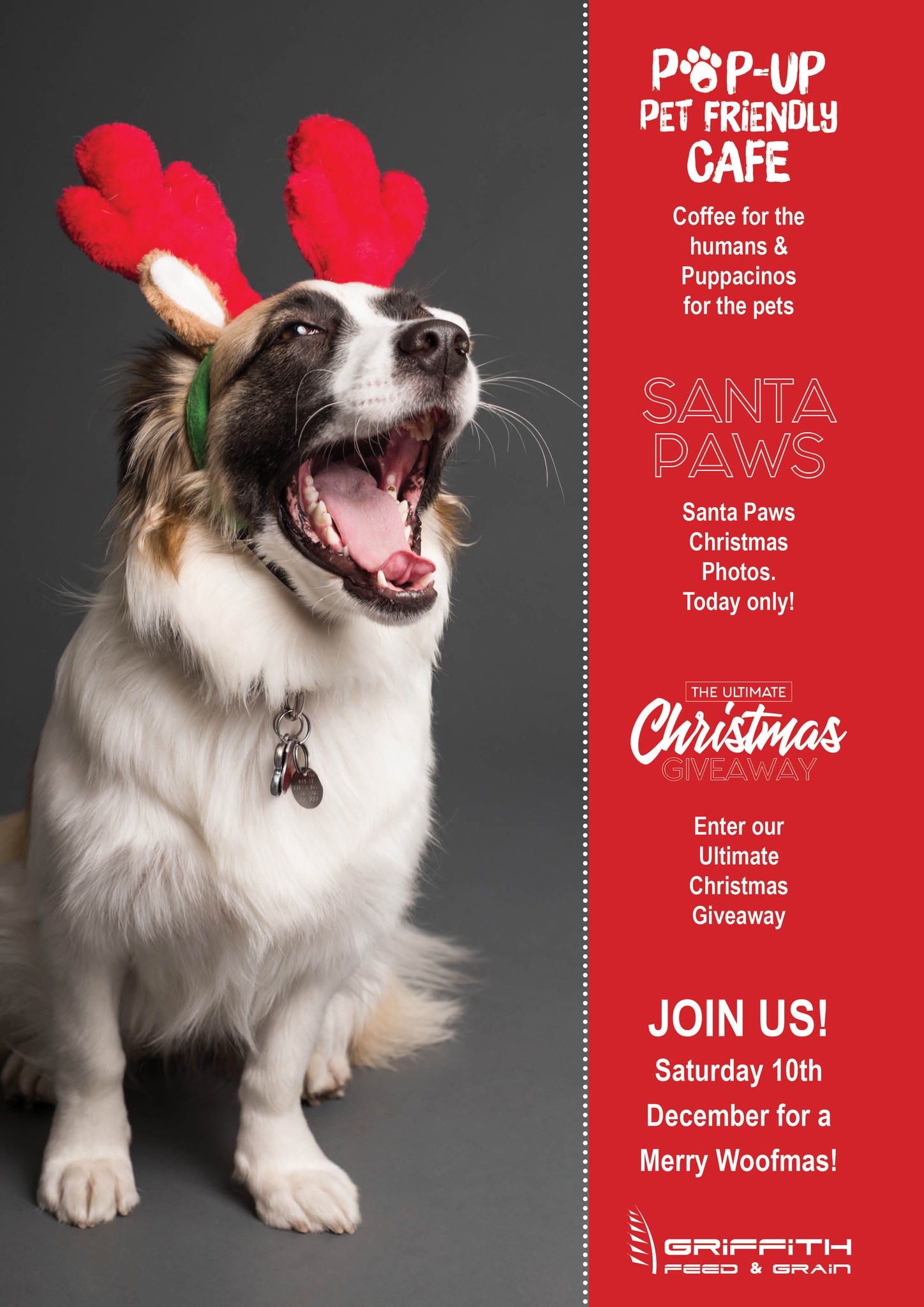 Santa Paws - Pet Friendly Cafe