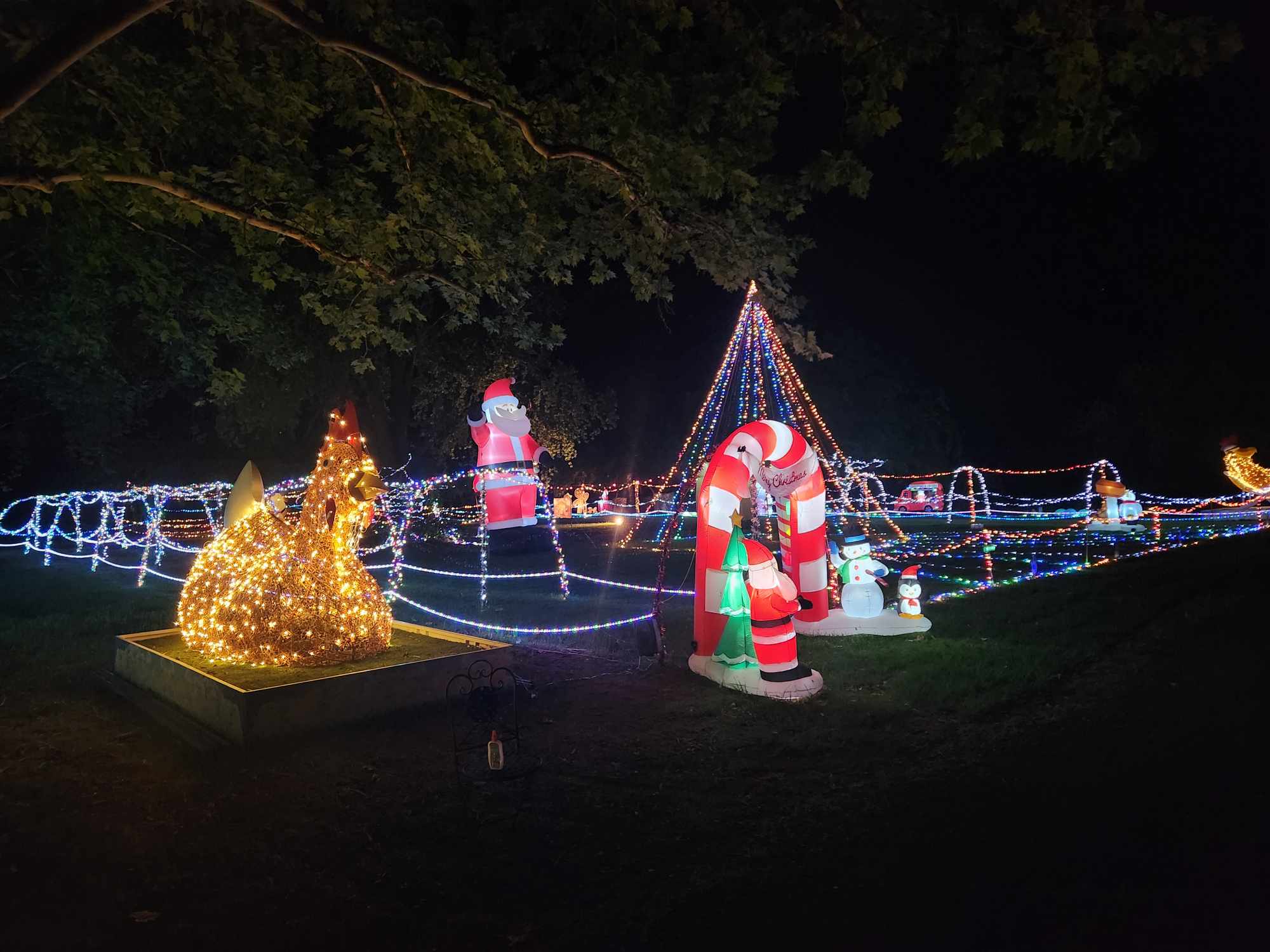 Soul Property & Council Christmas light winners revealed The National